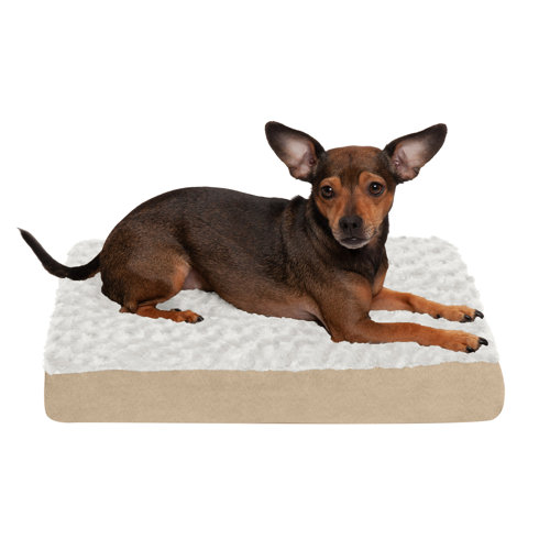 FurHaven Orthopedic Polyester Pet Bed & Reviews Wayfair